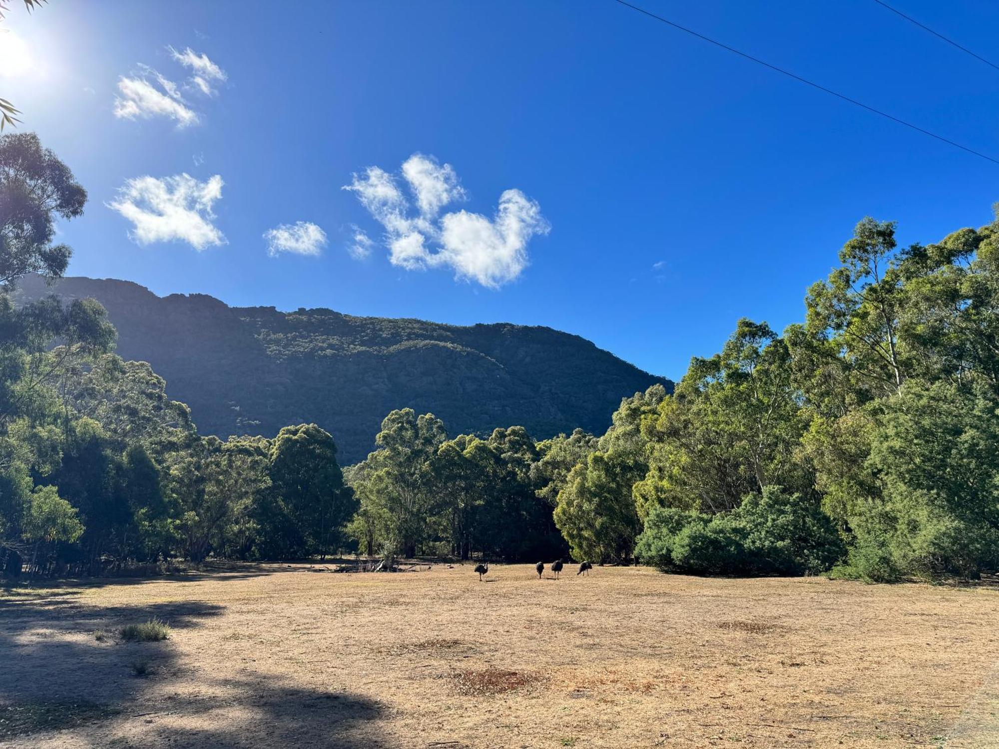 Halls Gap Log Cabins Εξωτερικό φωτογραφία