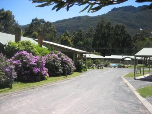 Halls Gap Log Cabins Εξωτερικό φωτογραφία